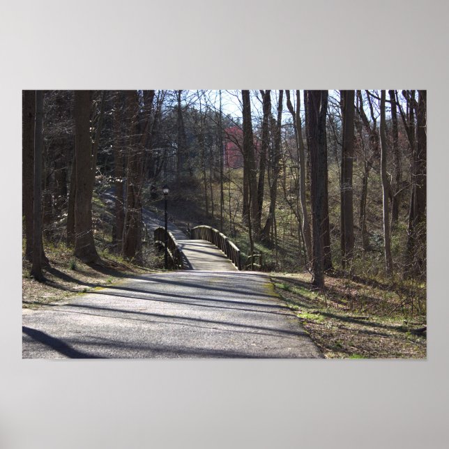 Park Walking Bridge Poster (Vorne)