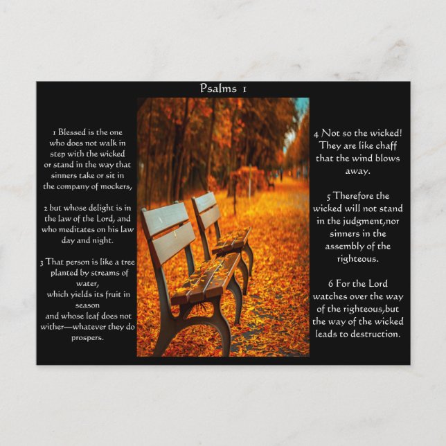 Parkbänke mit Psalmen Kapitel 1 Postkarte (Vorderseite)