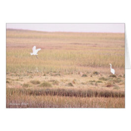 Parker River Wildlife Refugium: Insel Plum