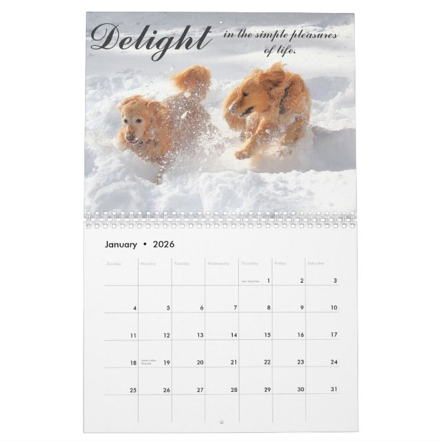 ParkerPup Kalender 2013 (Jan 2026)