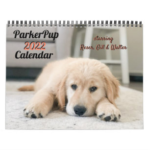ParkerPup-Kalender 2022 Kalender