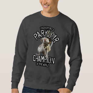 Parkour Eichhörnchen - lustiges Freerunning Sweatshirt