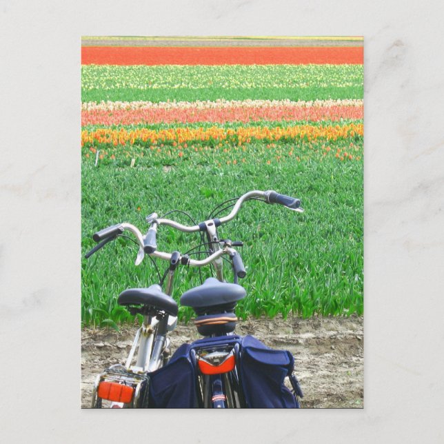 Parkplatz Bicycles Spring Tulip Blume Feld Postkar Postkarte (Vorderseite)