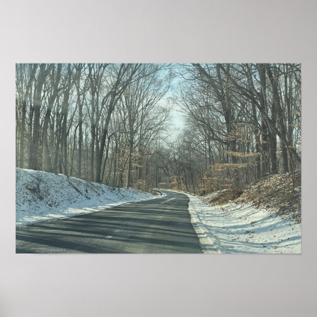 Parkstraße im Winter Poster (Vorne)