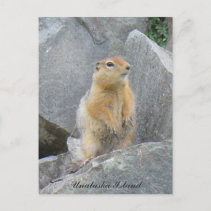 Parkuppe Stehend hoch, Insel Unalaska Postkarte
