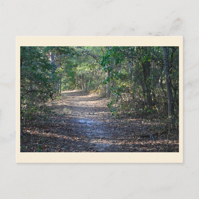 Parkweg Postkarte (Vorderseite)