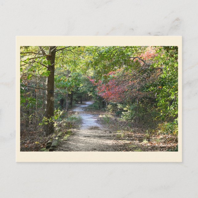 Parkweg Postkarte (Vorderseite)
