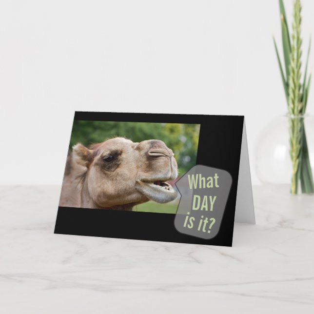 Parler De Camel Quel Jour Est-Ce ? Cartes de voeux (Devant)