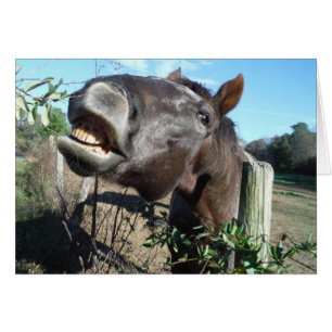 Parler de cheval Brown