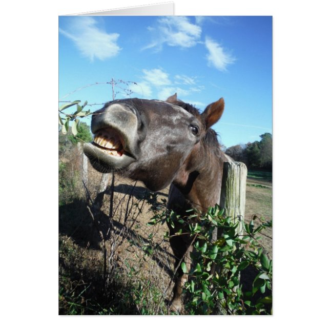 Parler de cheval Brown (Devant)