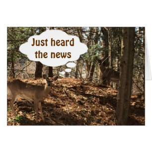 PARLER DE DEER COUPLE DIT : "VOUS ÊTES ***21***