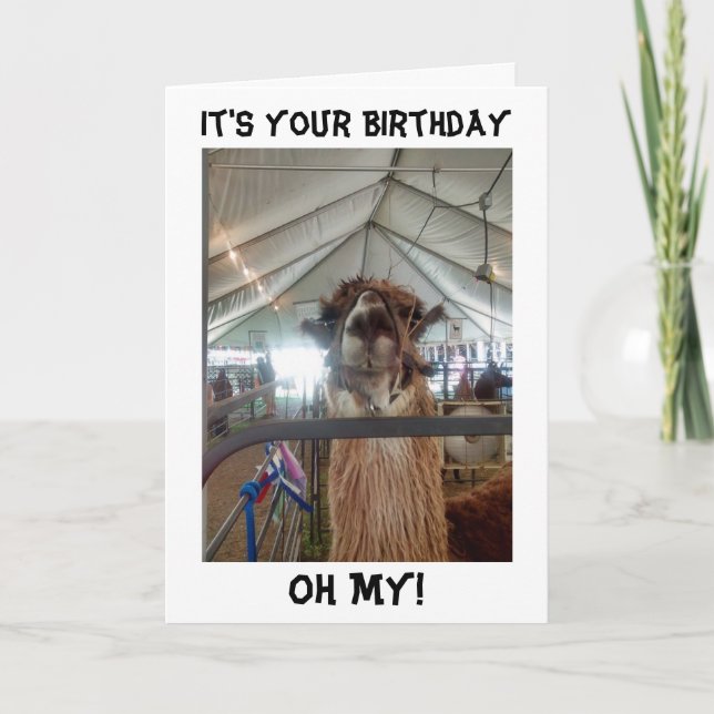 PARLER DE LA CARTE D'ANNIVERSAIRE DE LAMA ME FAIS  (Devant)