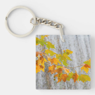 Parque Natural del Monasterio - feuille d'automne