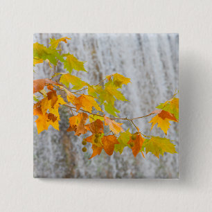 Parque Natural Del Monasterio - Herbstlaub Button