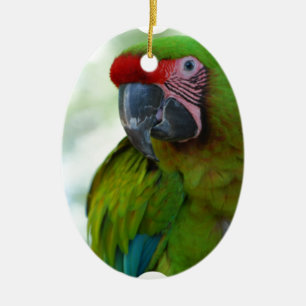 parrot-63.jpg keramik ornament