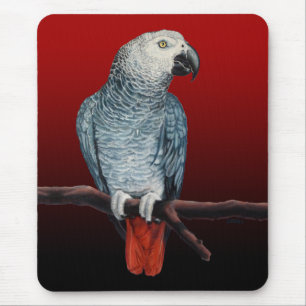 Parrot Art Mousepad Afrikanischer Grauer Papagei G