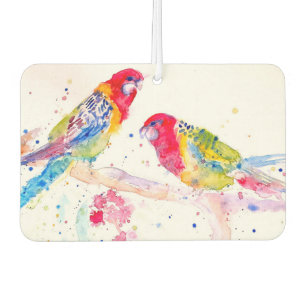 Parrot Art Wasserfarben Malerei Aqua Autolufterfrischer