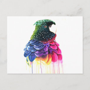 Parrot Bird Abstrakte Ölgemälde Postkarte