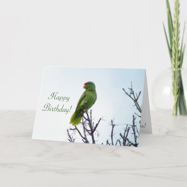 Parrot Birthday Card Karte (Vorderseite)