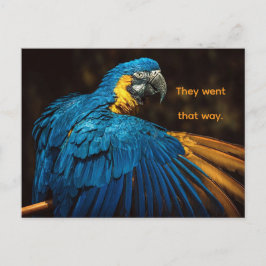 PARROT - CHANGE OF ADDRESS POSTCARD FEIERTAGSPOSTKARTE