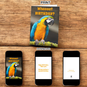 Parrot coloré N'importe quel Modèle d'anniversaire
