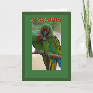 Parrot Couple Birthday Card Karte