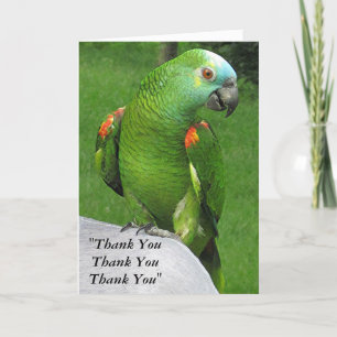 Parrot Danke