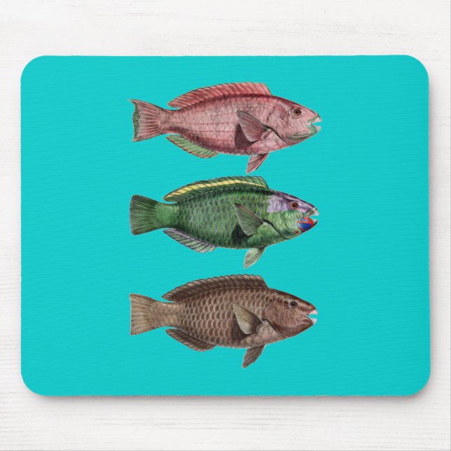 Parrot Fish Mousepad (Vorne)