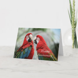 Parrot Happy Anniversary Grußkarte Dankeskarte