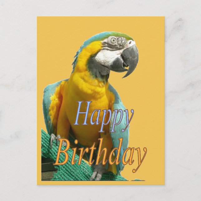 Parrot Happy Birthday individuell anpassbare Postk Postkarte (Vorderseite)