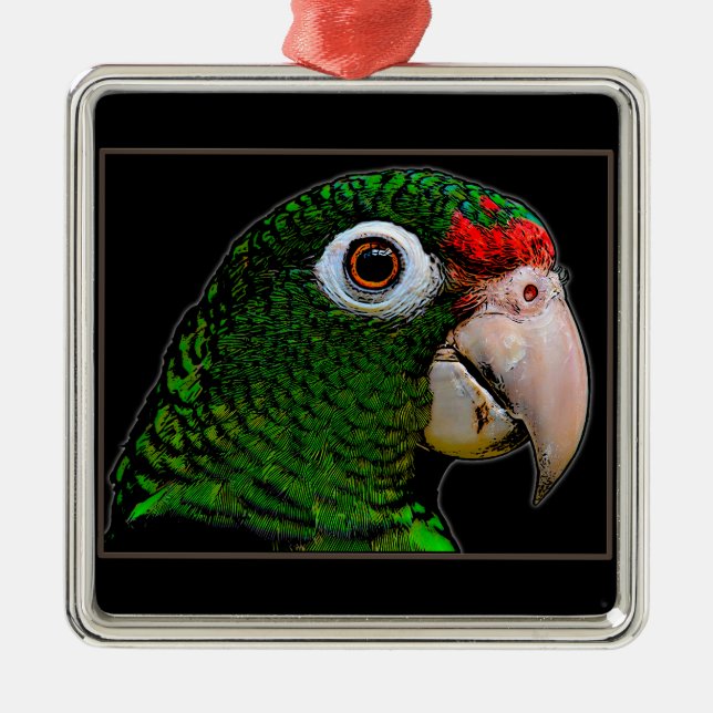 Parrot / La Cotorra Ornament Aus Metall (Vorne)