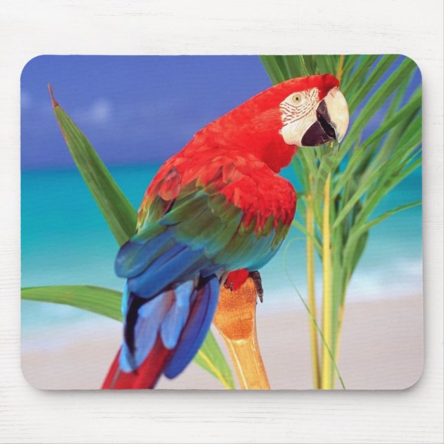 Parrot Mouse Pad Mousepad (Vorne)