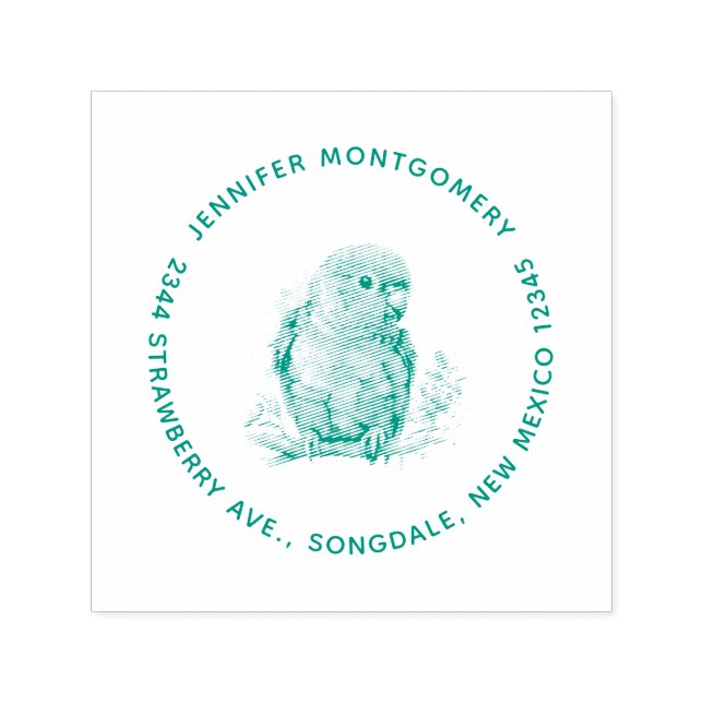 Parrot - Niedliche Baby-Bird-Adresse Permastempel (Design)