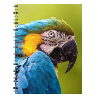 Parrot-Notebook Notizblock