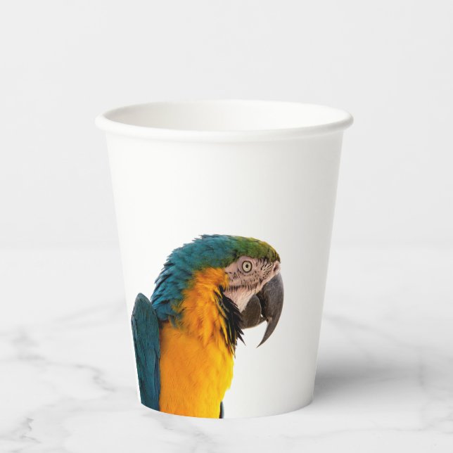 Parrot  pappbecher (Vorderseite)