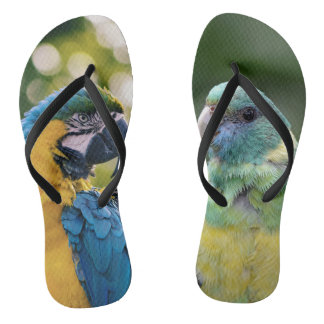 Parrot Patterned  Flip Flops