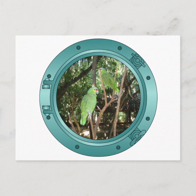 Parrot Porthole Postkarte (Vorderseite)