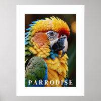Parrot Poster