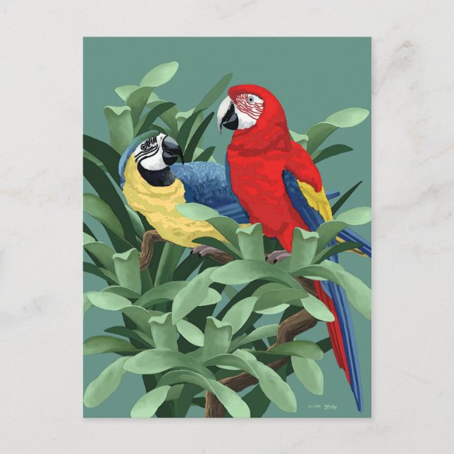 Parrot Postkarten (Vorderseite)