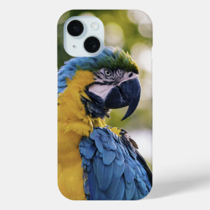 Parrot-Profil-Portrait-Foto Case-Mate iPhone Hülle