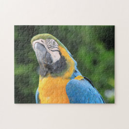 Parrot Puzzle
