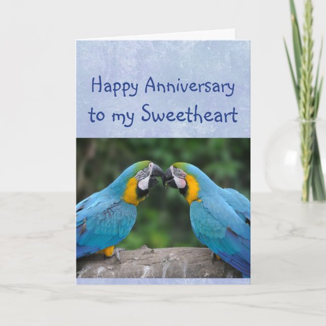 Parrot Sweetheart Liebe zum glücklichen Jubiläum Karte (Vorderseite)