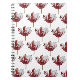 Parrot Tulip Fine Art Print Notizblock