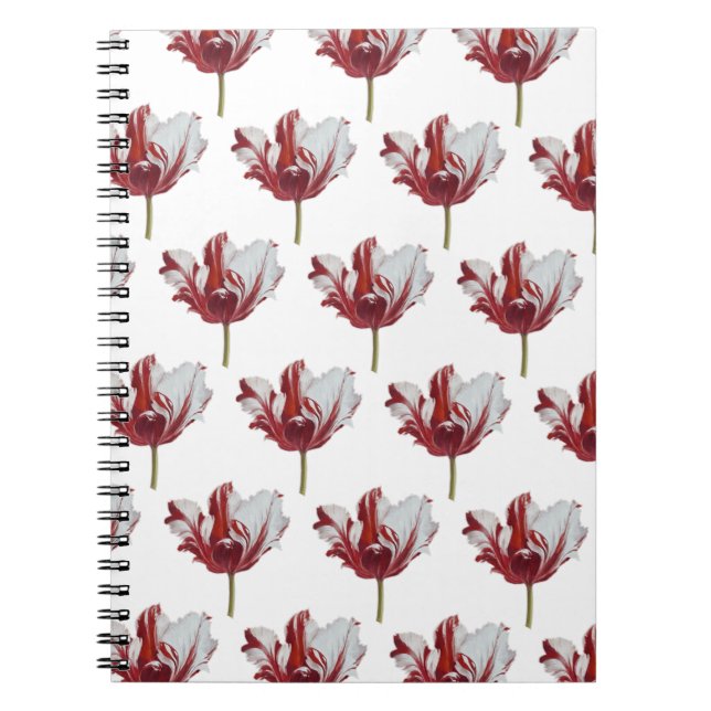 Parrot Tulip Fine Art Print Notizblock (Vorderseite)