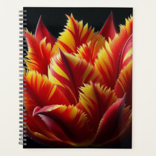 Parrot Tulip Floral Rouge et Jaune