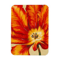 Parrot Tulip II