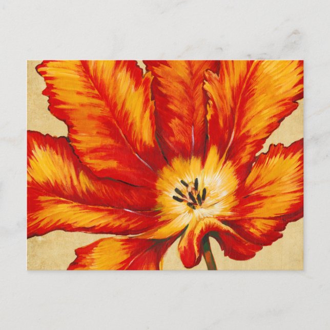 Parrot Tulip II Postkarte (Vorderseite)