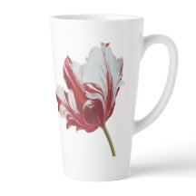 Parrot Tulip