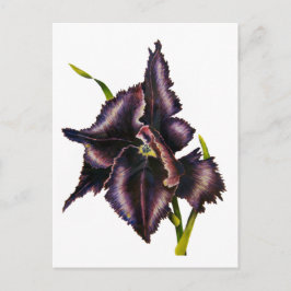 Parrot Tulip Post Card Postkarte