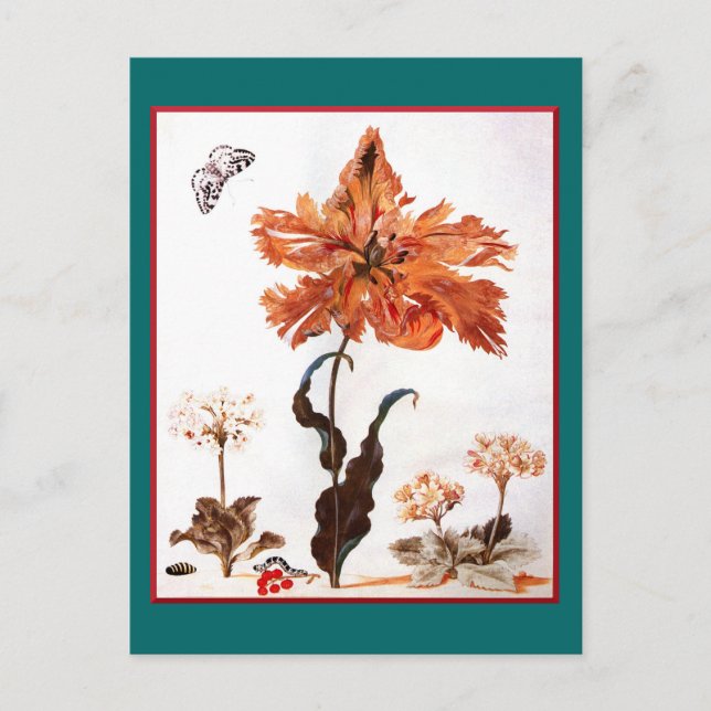Parrot Tulip Postcard Postkarte (Vorderseite)